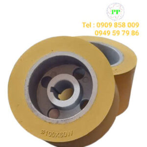 Bánh xe đưa phôi Ø100xØ20x60W